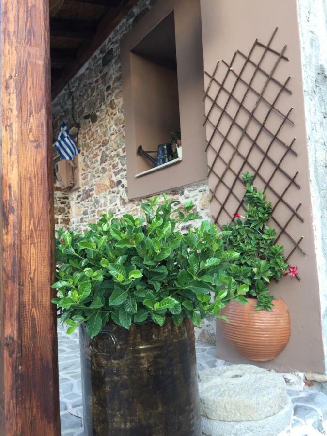 Areti'S Traditional House Apollona エクステリア 写真